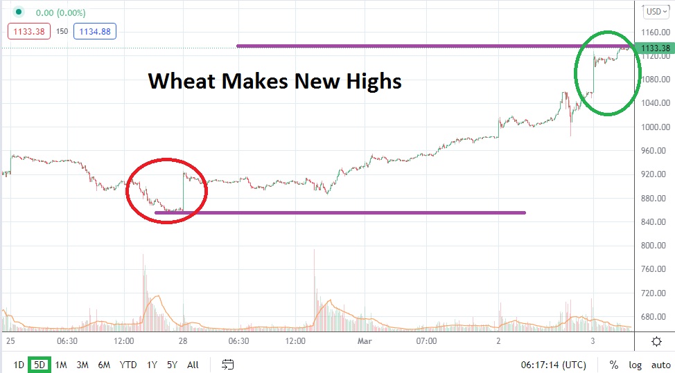 Análisis Técnico del Trigo Análisis Técnico del Trigo
